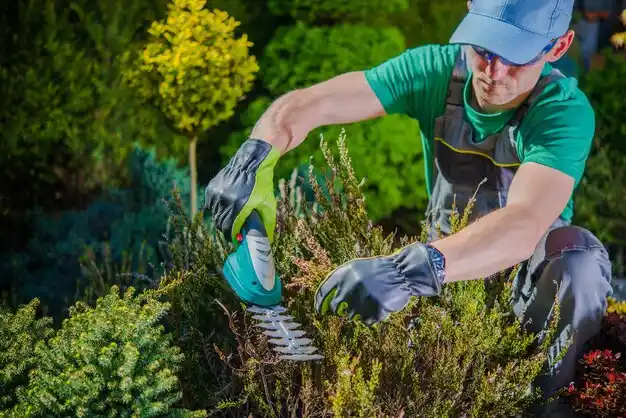 landscaping services Union